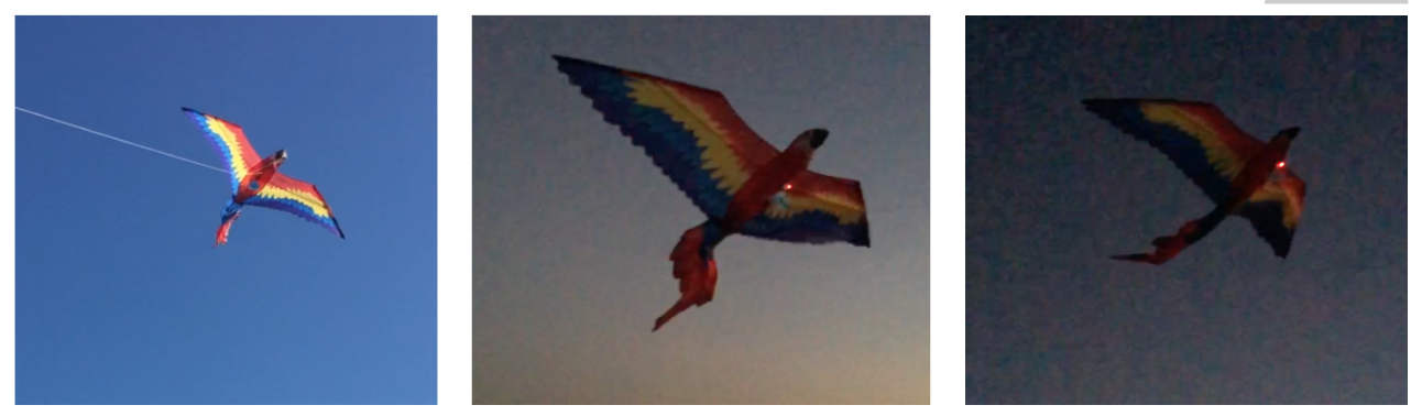 Screen Shot 2020-11-05 at 2.39.20 AM