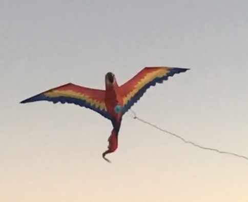 Screen Shot 2020-11-05 at 3.20.05 AM