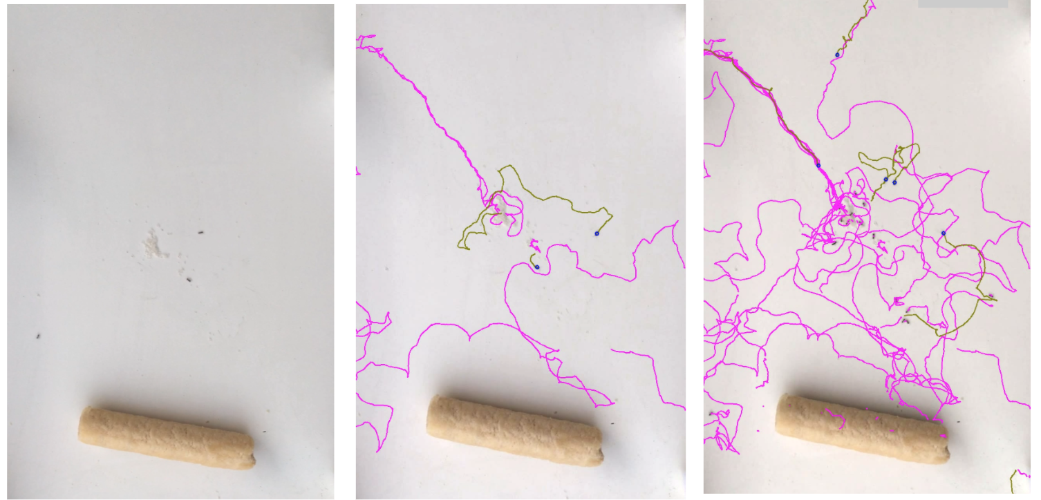 Screen Shot 2020-11-05 at 3.52.19 AM